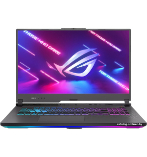             Игровой ноутбук ASUS ROG Strix G17 2023 G713PI-LL098W        